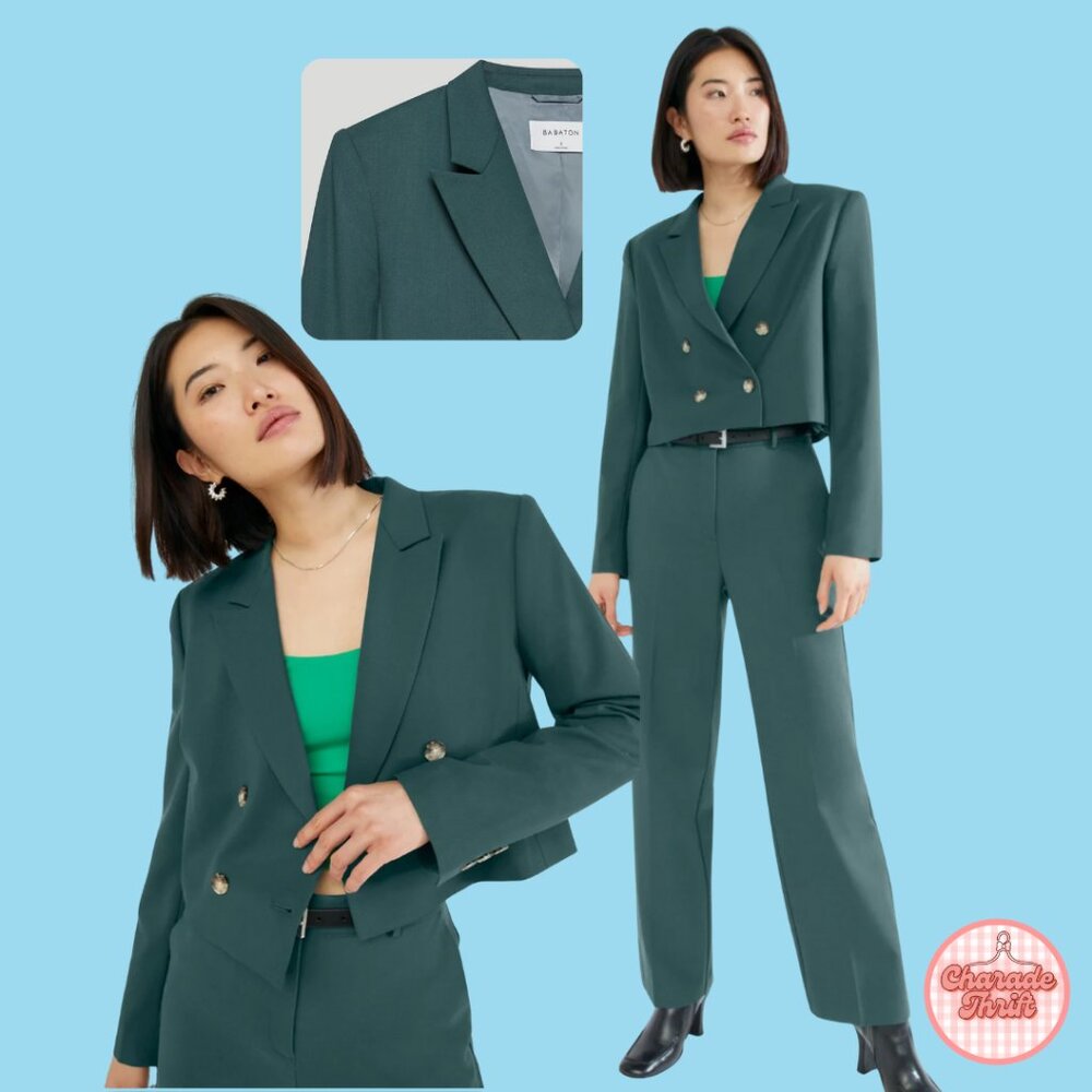 Aritzia x Babaton "Lalonde" Blazer - Picture 3 of 5